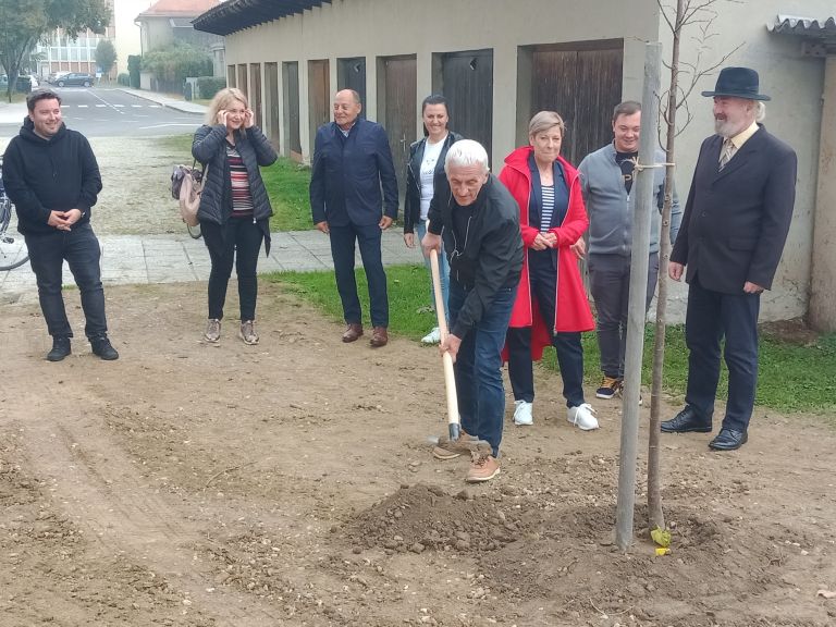 lendava, romi, izobraževanje