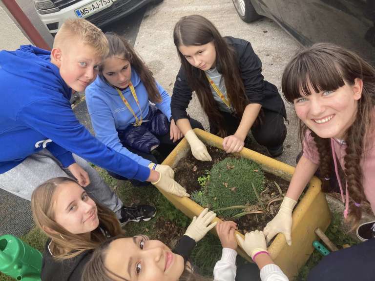 projekt-krokus, oš-gornja-radgona