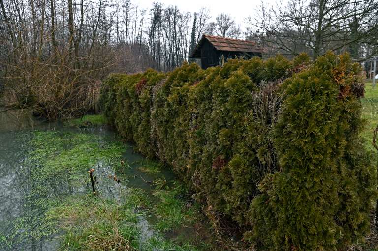 poplave, obilno-deževje, poplavljena-polja, sodišinci, poplavljeni-sodišinci