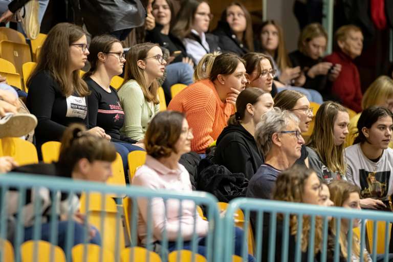panvita-pomgrad, ach-volley