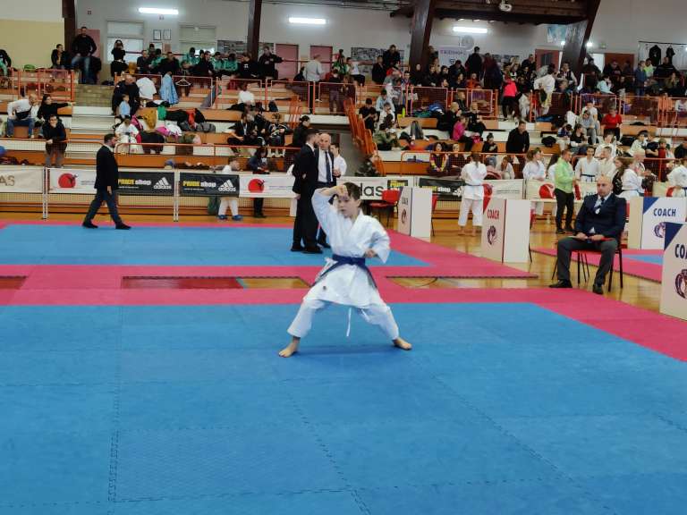 karate, slovenske-konjice, gornja-radgona, pokal-konjiškega-konja