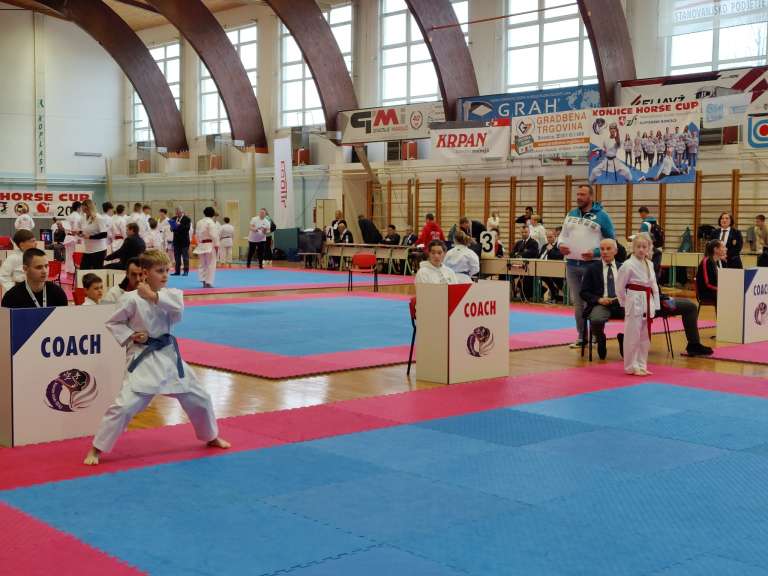 karate, slovenske-konjice, gornja-radgona, pokal-konjiškega-konja