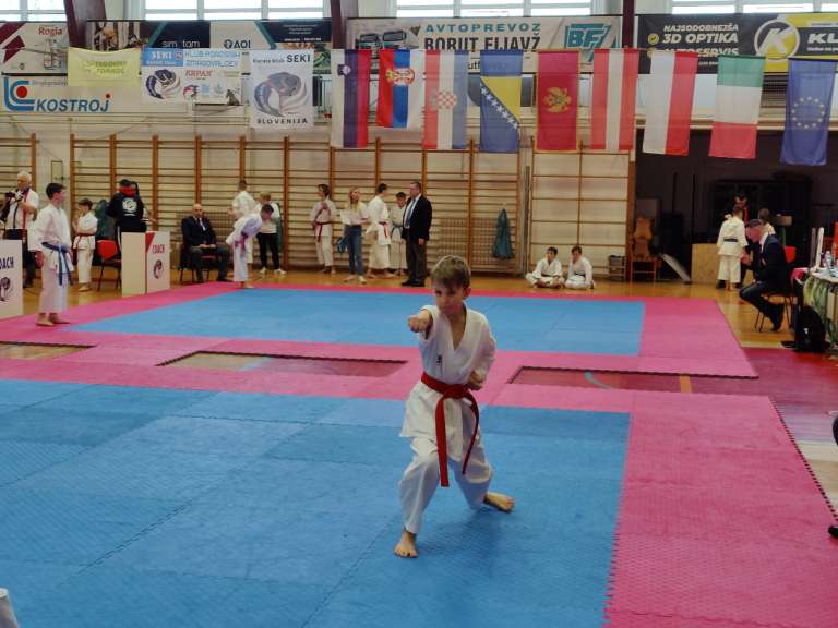 karate, slovenske-konjice, gornja-radgona, pokal-konjiškega-konja