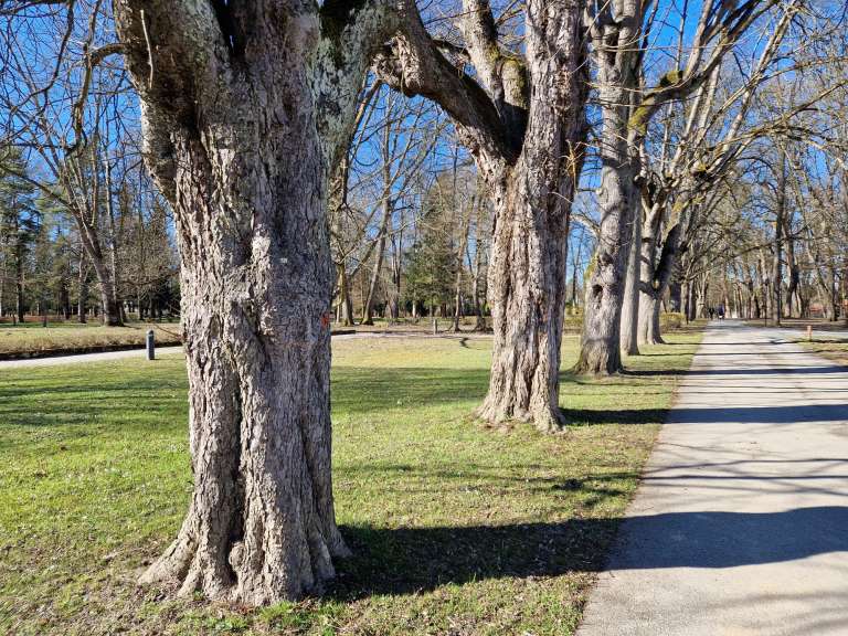 radenci, park, rdeče-pike
