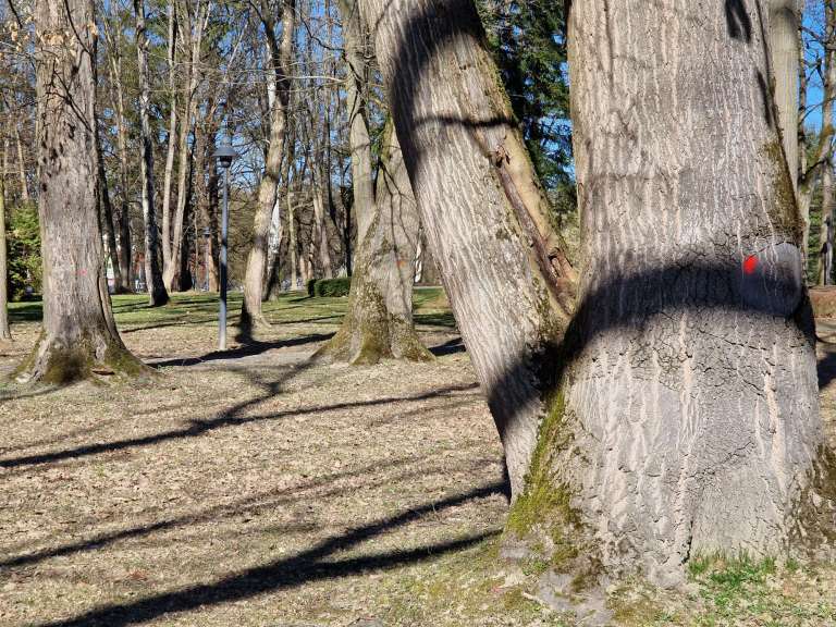 radenci, park, rdeče-pike