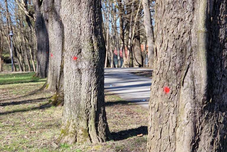 radenci, park, rdeče-pike