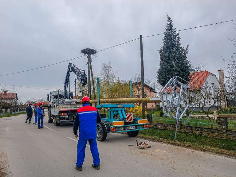 cven, štorklje, štrk, gnezdo