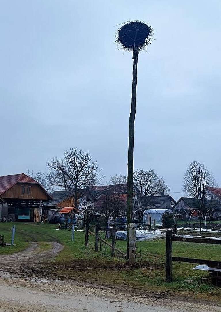 d13_storkljadrog.jpg