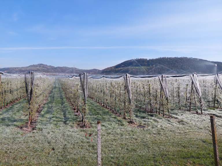orosevanje_3.jpg