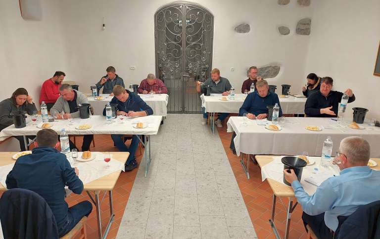 d16_sentjernejvinogradvzorci.jpg