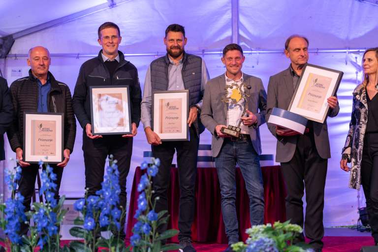 festival_modre_frankinje__23_.jpg