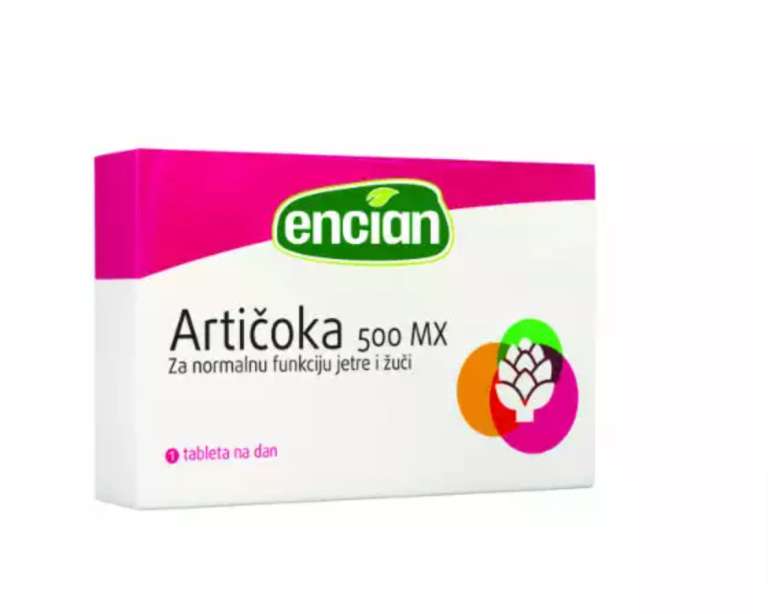 Artičoka.png