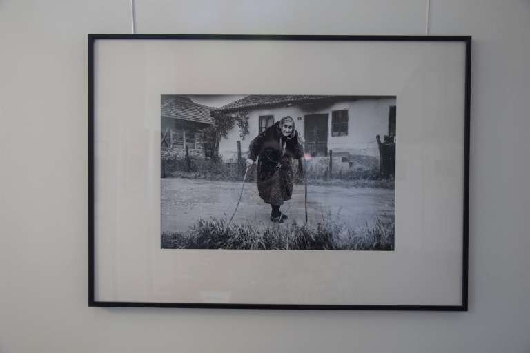 fotograd-negova-2023, negova, razstava