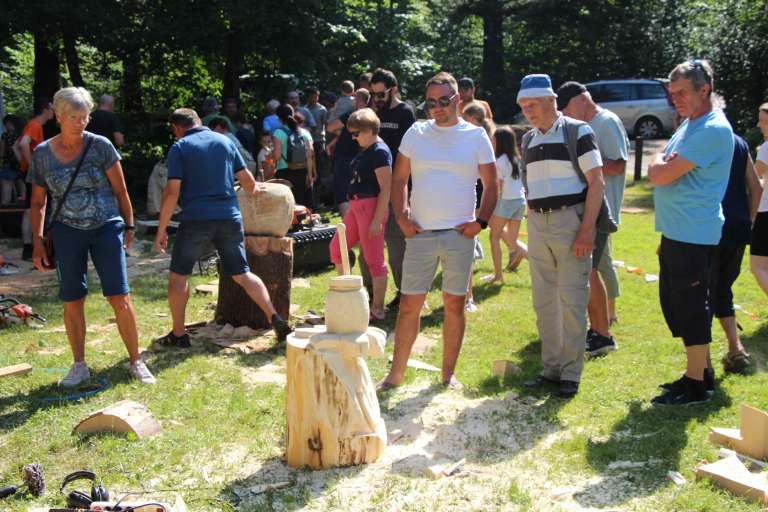toplice_fest78.jpg