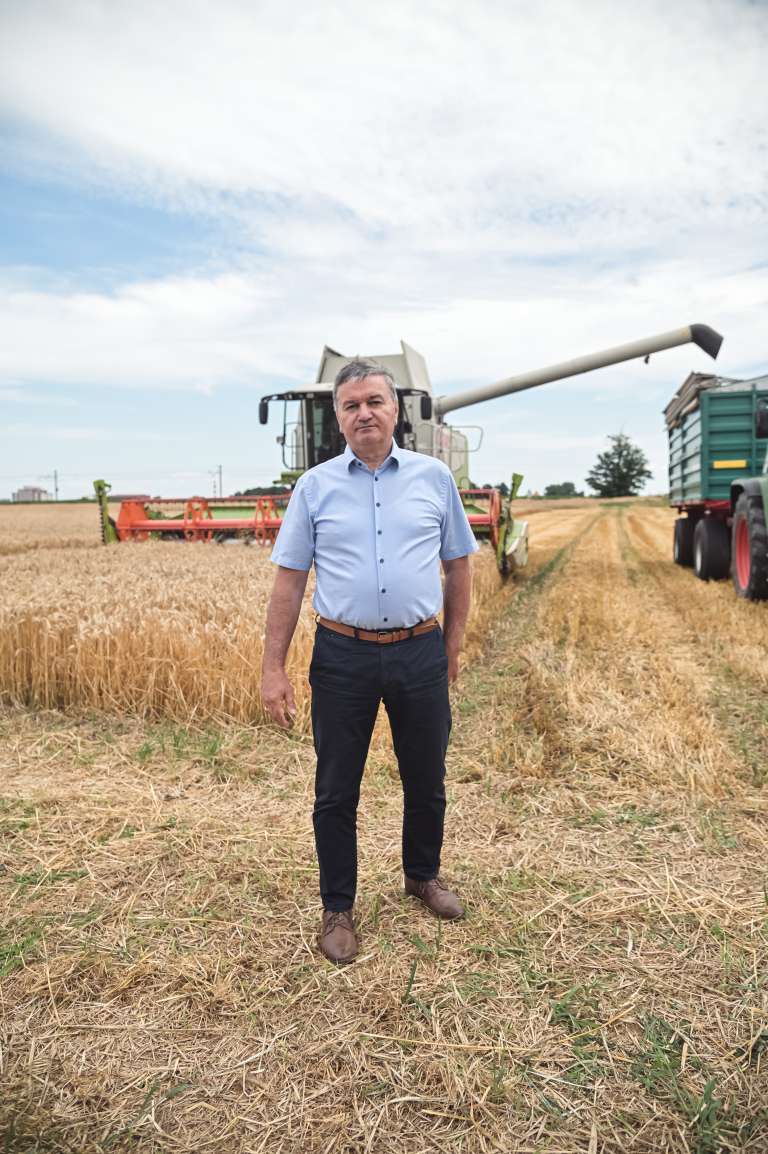 žetev-2023, pšenica, pšenice, kombajn, traktor, kmetijstvo, njiva, polje, panvita, branko-virag