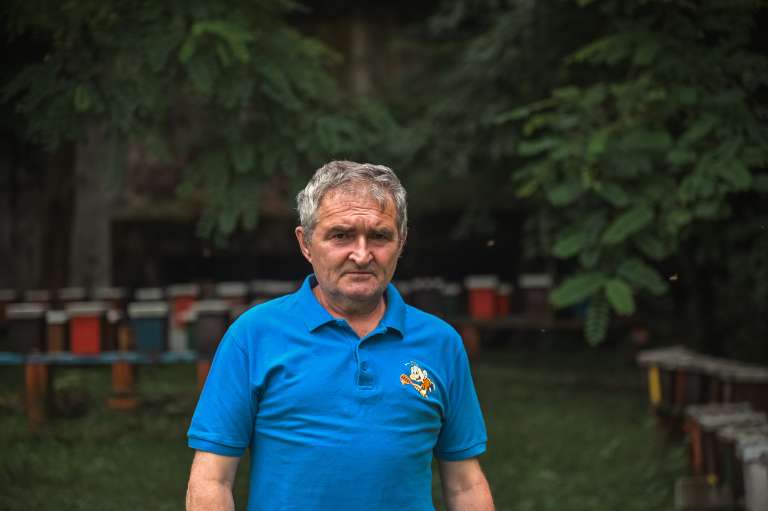 čebelarstvo-donko, čebele, med, čebela, panj