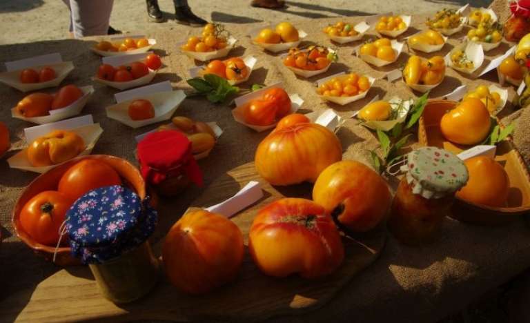_zparadiznik_035__2_.jpg