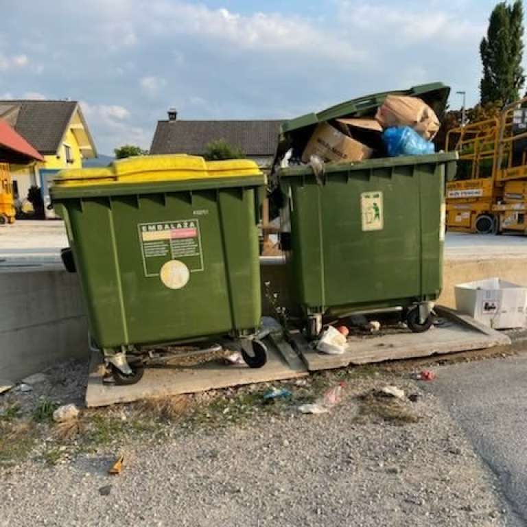 _zsmeti1.jpg