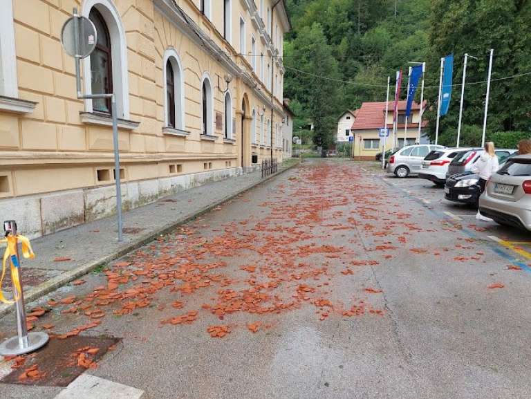 krsko_j_korsic__3_.jpg