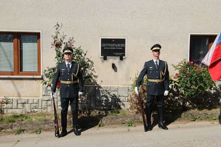_lipovec__01_.jpg