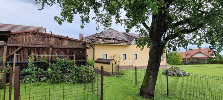 neurje, sebeborci