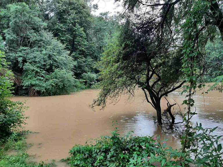 reka-mura, poplave