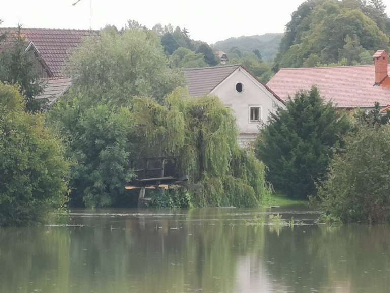 _kostanjevica_nedelja__5_.jpg