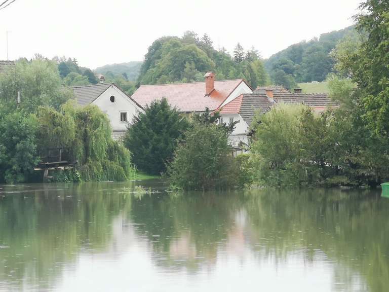 _kostanjevica_nedelja__4_.jpg