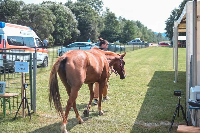 vzdržljivostno-jahanje-endurance-goričko-2023, konj, konji, dolnji-slaveči