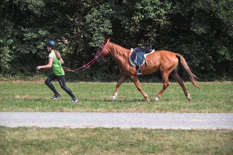vzdržljivostno-jahanje-endurance-goričko-2023, konj, konji, dolnji-slaveči