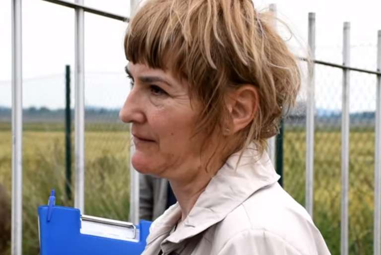 darja satler.png
