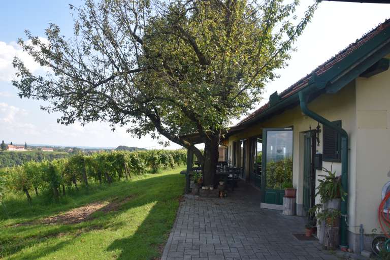 viničarija-pri-gruški, radenski-vrh, vina-belak, miam-kulinarika