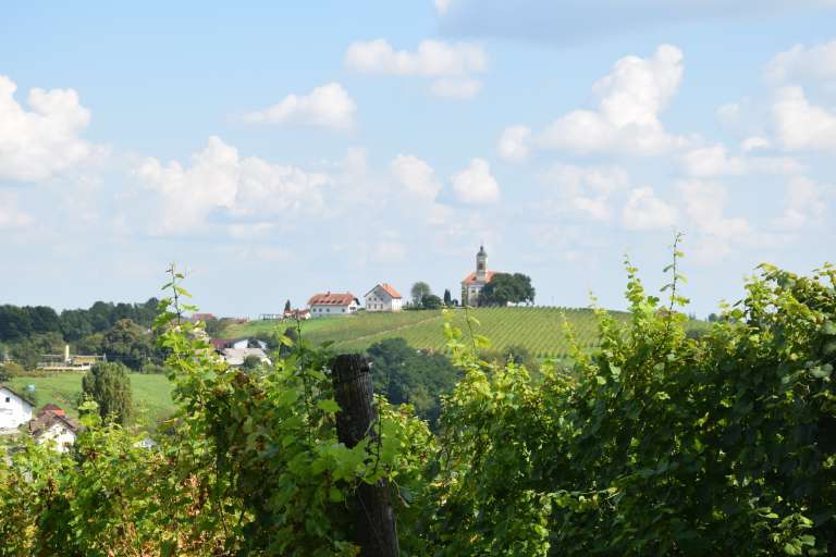 viničarija-pri-gruški, radenski-vrh, vina-belak, miam-kulinarika