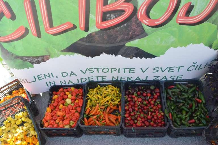 ponudba__iliboja.jpg