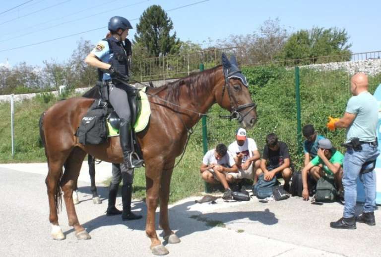 _rigonce__4_.jpg