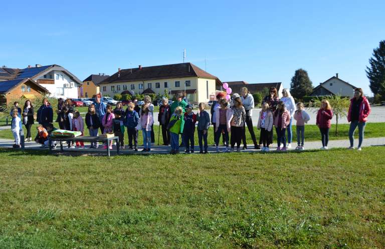 rožnati-oktober, rožnato-drevo, občina-šalovci