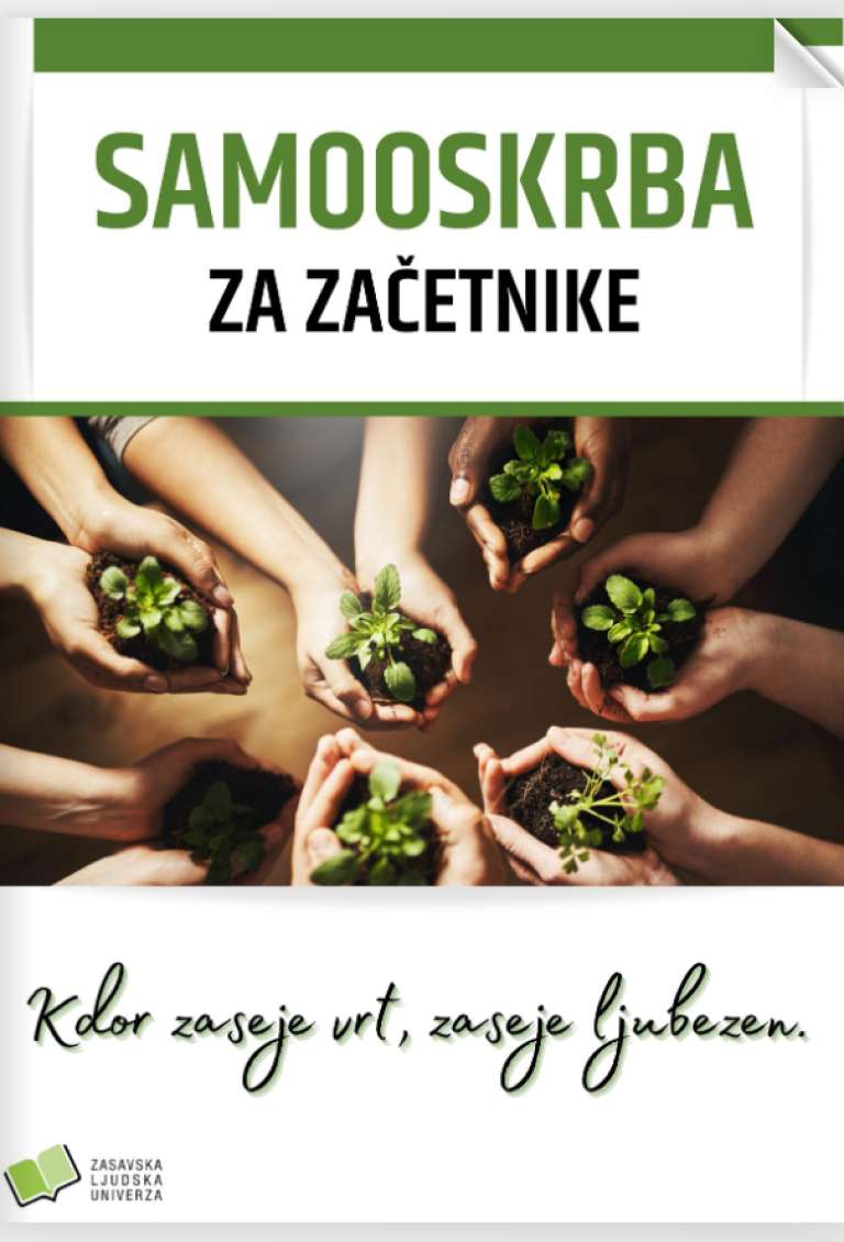 zlu publikacija.png