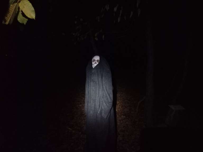 magični-gozd