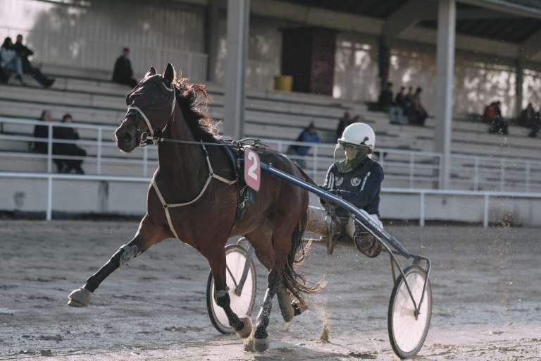 kasaške-dirke, hipodrom-ljutomer, državno-prvenstvo, darja, antolin