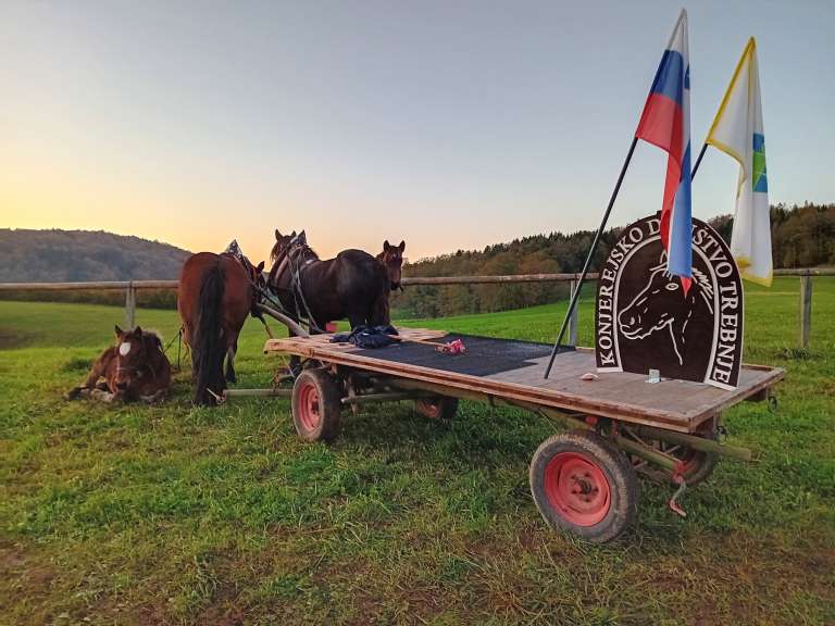 _zkonjeniki__1_.jpg