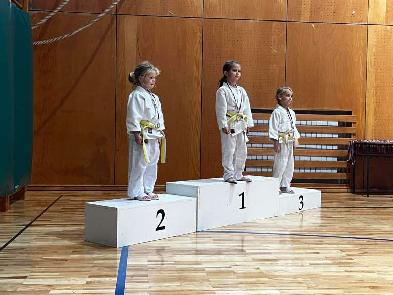 judo-klub-murska-sobota, oplotnica