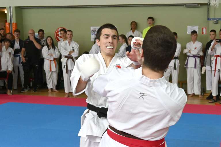 kuzma, karate