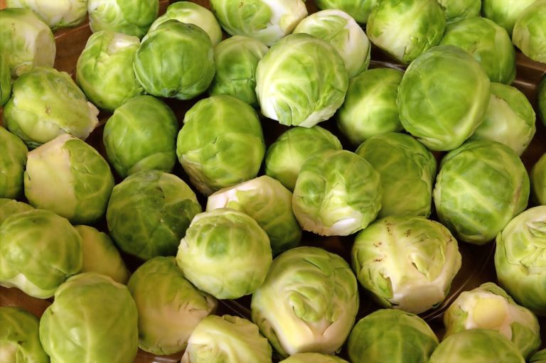 848763_283-brussels-sprouts-g6a6f7867.jpg