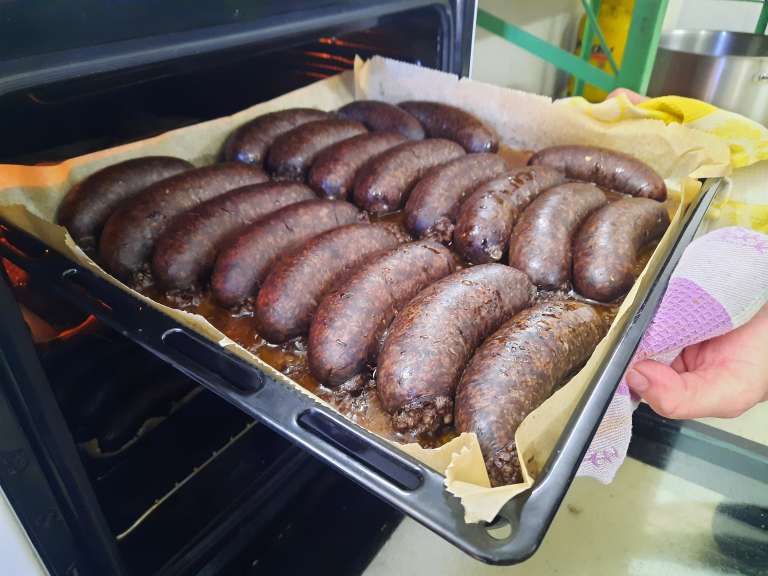 župnija-markovci, župnijske-koline