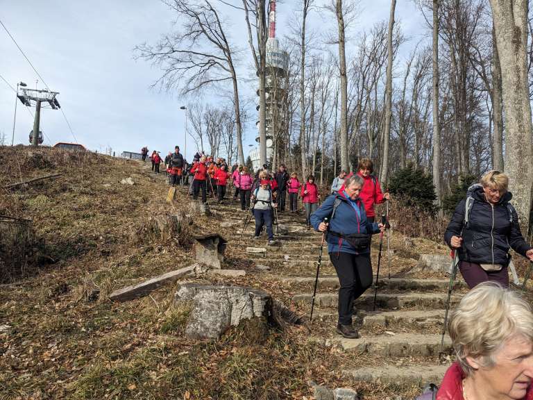 _zsljeme__11_.jpg