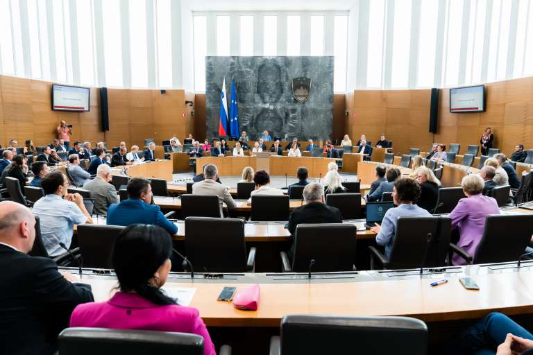 državni zbor, parlament, zakonodaja