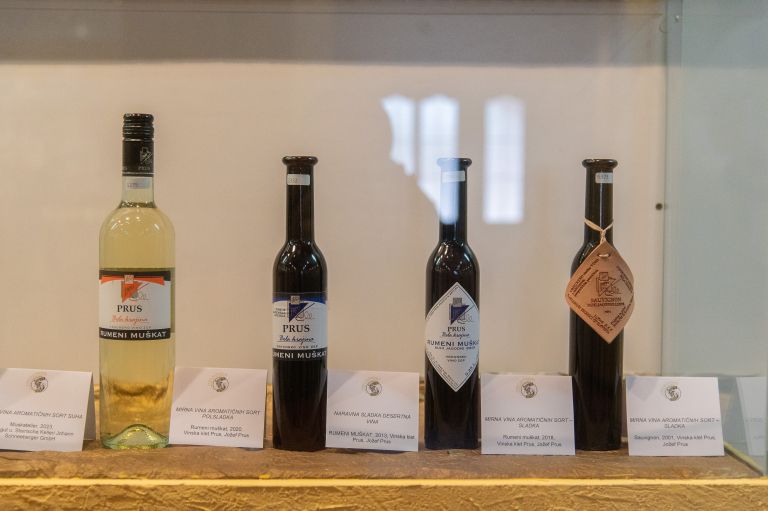 pomurski-sejem, ocenjevanje-vin, vina, vino