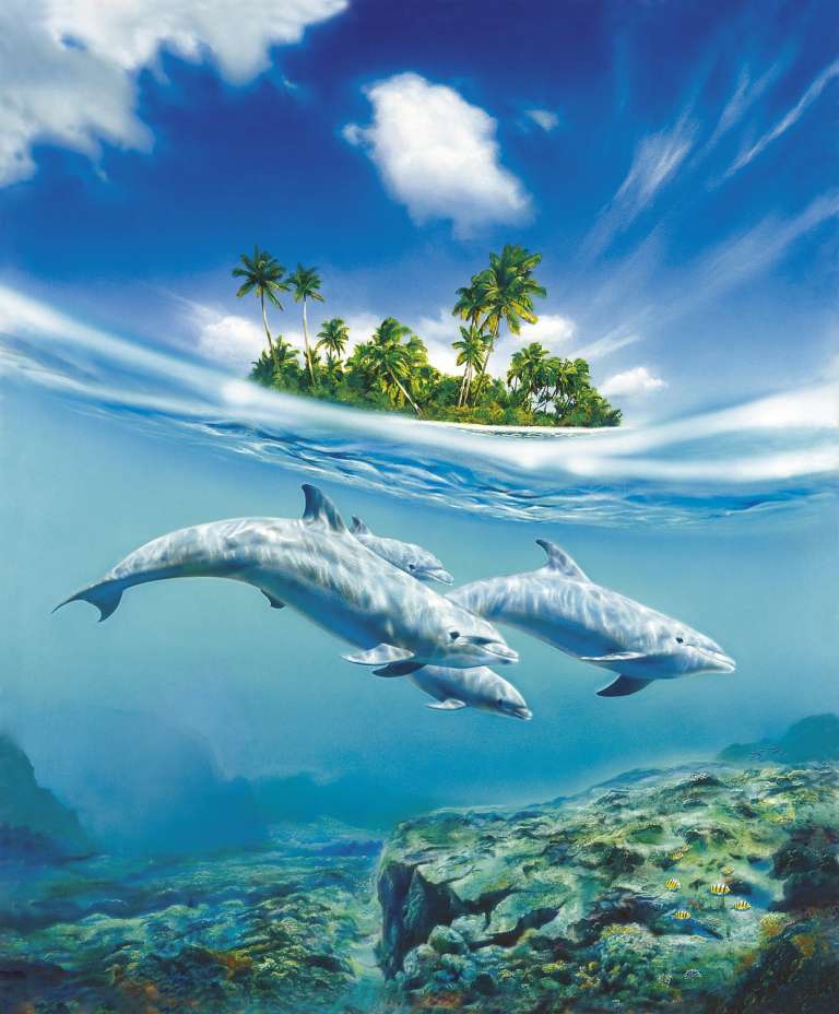 delfin