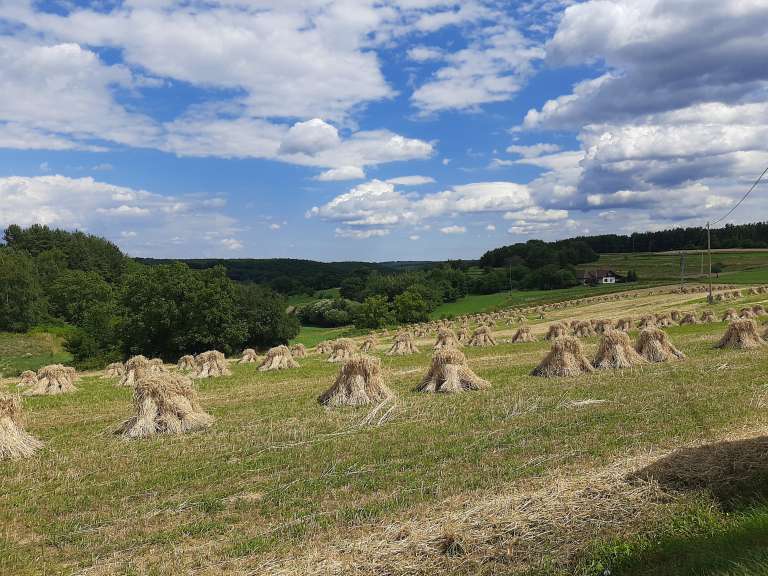 martinje, goričko, plastiči