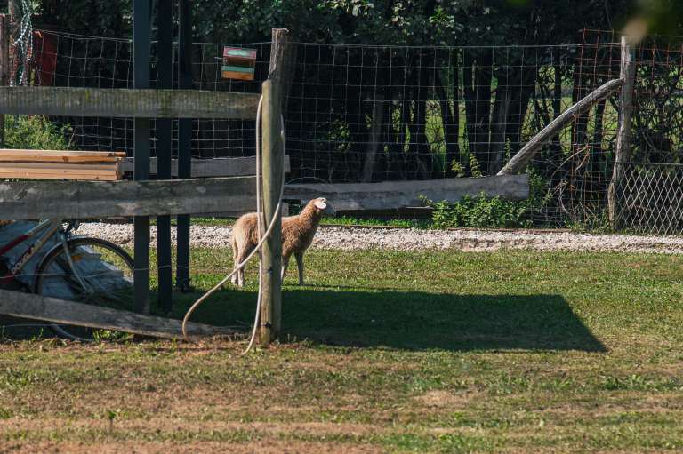 copekov-mlin, mala-polana